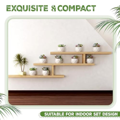 24 Pack 2.5 Inch Small Succulent Pots, White, Fashion - style: Fashion