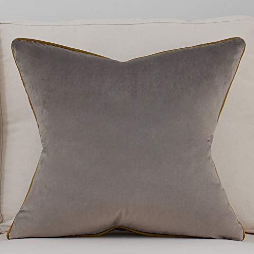 Avigers Throw Pillow Cover 20 x 20 Inch, Grey, Velvet, Hidden Zipper - color: Grey, size: 20" x 20" (Pack of 1)
