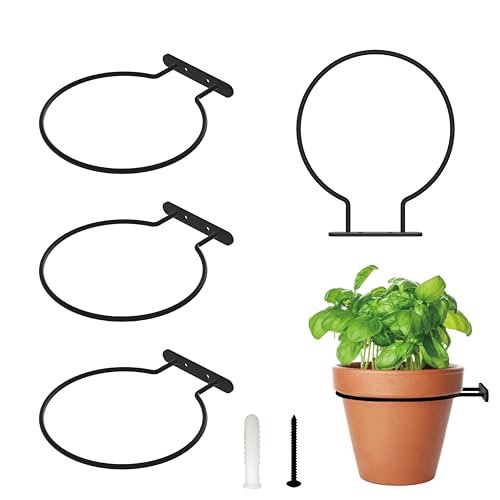 NACETURE Heavy Duty Wall Mount Planter Brackets, 6 Inch 4 Pack - color: Black 4 Pack