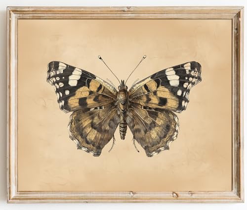 Kizbok Vintage Butterfly & Moth Wall Art Prints Decor Dark Moody Entomology Insect Canvas Prints Rustic Neutral Butterfly Drawing Oil Painting, Butterfly Art Pictures for Bedroom, Farmhouse Wall Decor for Bathroom Home(8" x 10"-UNFRAMED) - color: Butterfl