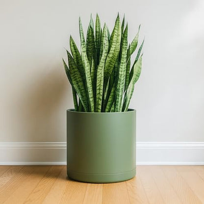 D'vine Dev Plastic Planter Pot with Saucer, 14 in, Olive, 74-X-I-4 - color: Olive, size: 14 Inch