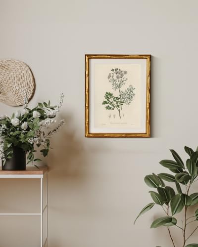 InSimSea Gold Bamboo Framed Wall Art, Plants Fern Botanical Prints, 11x14In - color: Coriander