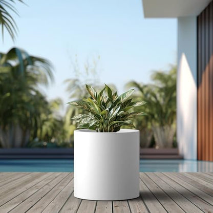 Kante Large Round Cylinder White Concrete Planter 15.8" Tall, Outdoor - color: Pure White, size: 15.7" Dia