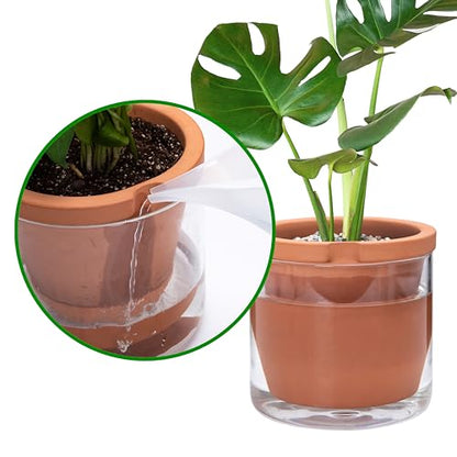 D'vine Dev Self Watering Terracotta Planter Pot, 8 in, 37-X-C-1 - color: Terracotta, size: 8 Inch
