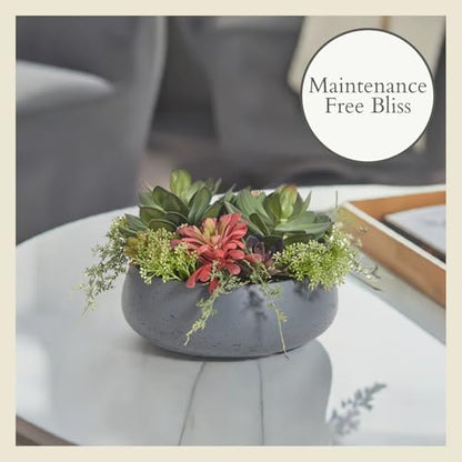 CG Hunter, Faux Succulent Arrangement, Grey, Home Decor - size: 14" Round Grey