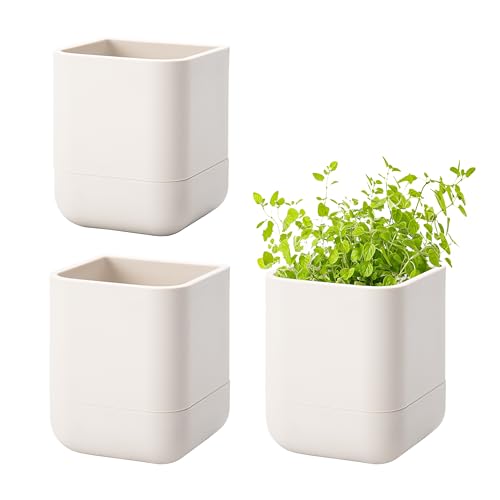 Phoenix Vine 3.5 Inch Wall Mounted Self-Watering Planter Pot for Indoor Houseplants and Herbs | Hanging Planter for Window Sills, Bathroom Walls, Home & Office Décor, Oatmeal, Set of 3, 01-A-G-3 - color: Oatmeal, size: 3.5" (3 Pack)