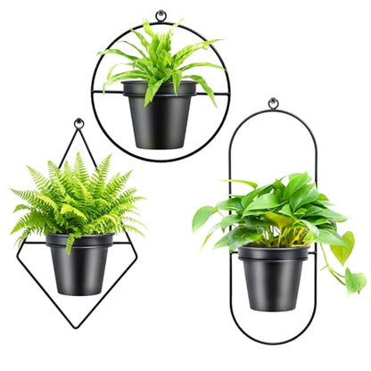 Geometric Wall Planters for Indoor Plants Set of 3 Black Metal Wall Mounted Plant Holder (Diamond & Oval & Round Shapes) with 5 Inch Flower Pots, Modern Hanging Planters for Indoor Decor