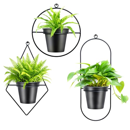 Geometric Wall Planters for Indoor Plants Set of 3 Black Metal Wall Mounted Plant Holder (Diamond & Oval & Round Shapes) with 5 Inch Flower Pots, Modern Hanging Planters for Indoor Decor