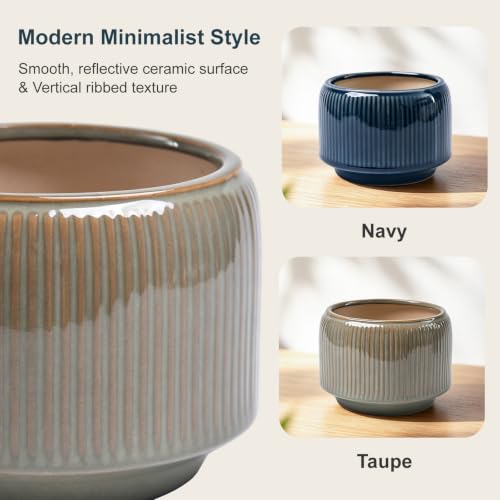 6 Inch Ceramic Plant Pots Set of 2 with Drainage Hole for Indoor Plants - color: Navy & Taupe