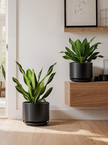LE TAUCI 10 inch Plant Pot, Ceramic Pots for Plants, Black - color: Black, size: 10"
