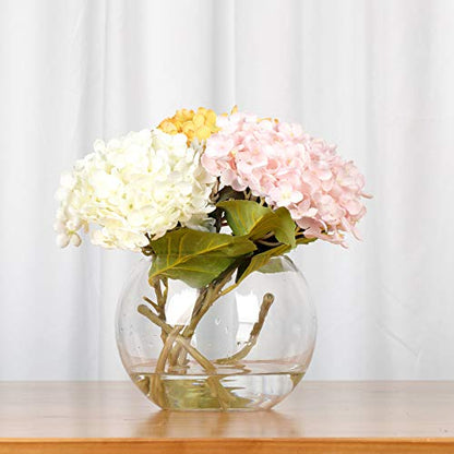 WGV Bowl Glass Vase Bulk, Diameter 10", Height 8", Open Width 6", (Multiple Sizes Choices) Clear Bubble Planter Terrarium Fish Bowl for Wedding Event Home Decor, 4 Pieces (VBW0010) - size: 10"D 1 Case