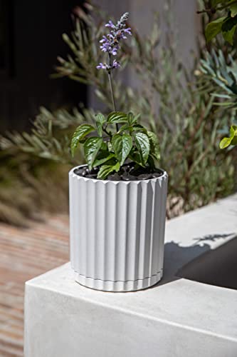 Veradek Demi Series Demi 6" Planter w/Tray - White, 2 Pack - color: White, size: 6 inch - 2 Pack