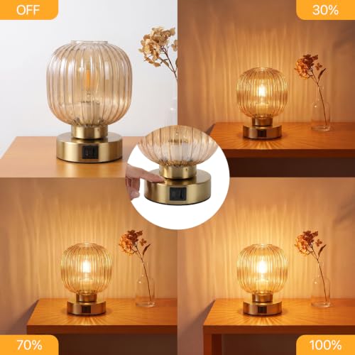 Elenhome Touch Table Lamp Set of 2, 3-Way Dimmable with Glass Shade, USB-C+A Charging Ports, Mid-Century Modern Small Bedside Lamps for Nightstand, Bedroom, and Living Room, LED Bulb Included (Amber) - color: Gold_2pack