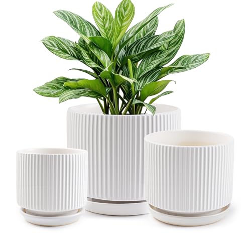 Ceramic-Flower-Pots-Sets-with-Saucer, 5/6/8 inch Small Planters for Indoor Plants with Drainage Hole, White Vertical Stripe Plant Pots for Home Decor, Outdoor Garden Pot For Succulent Cactus Herb - color: White, size: 5.1+6.3+8 inch