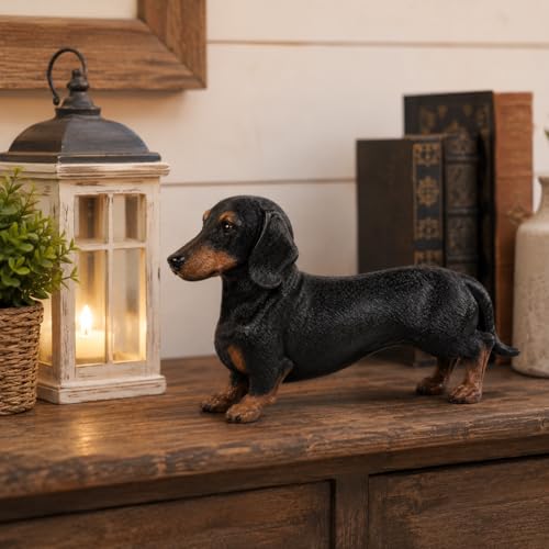 Comfy Hour Dachshund Statue Figurine, 7 Inch Black and Brown Realistic Resin Dog Sculpture, Small Wiener Dog Decor for Shelf, Desk, Bookshelf, Mantel, Entryway, Gift for Pet Lovers