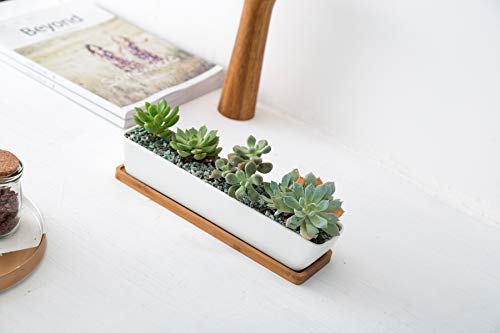 SeaStar Long Rectangular White Ceramic Succulent Planter Pot with Bamboo Tray,Perfect for displaying Succulent Arrangements on Desk, Window sill and Office Table. Plants not Included.