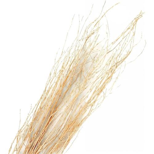 Branches for Vase, 3'–4' Natural Birch Tree Branches for Decoration, Bundle of 10 Tall Decorative Sticks for Vases, Rustic Wood Branches for Crafts, Weddings, Seasonal & Home Décor - Gold - color: Gold