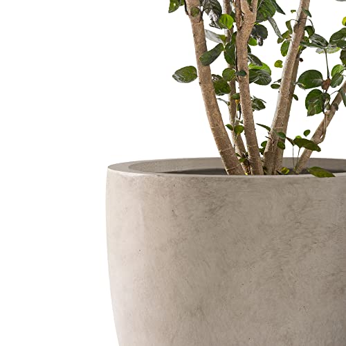 Kante Set of 3 Weathered Concrete Curved Planters 20" 16.5" 13.3" Dia - color: Weathered Concrete, size: 20.1"d + 16.5"d + 13.4"d