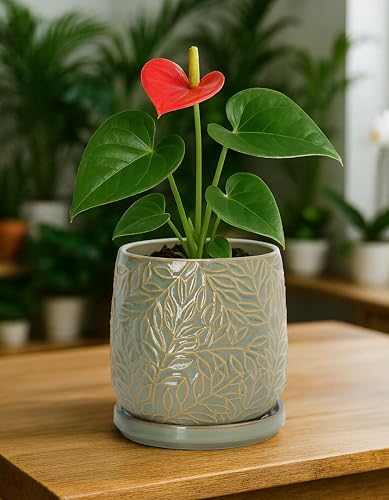 D'vine Dev Embossed Leaves Ceramic Planter, 5 in, Olive, 27-A-V-0 - color: Olive, size: 5 Inch