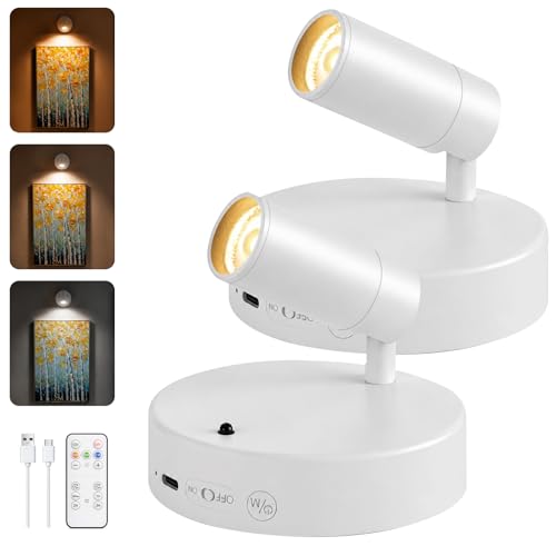 Spotlights Indoor with Remote, 5500Mah Rechargeable Picture Lights on Wall - color: White-5500mAh