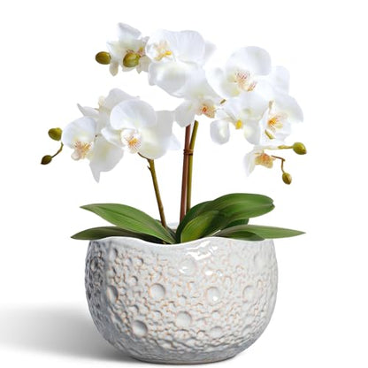 Ceramic Plant Pots 6 Inch, Ceramic Orchid Pot with Drainage, Grey - color: Gray, size: 6.2 Inch