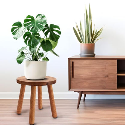 Solid Wooden Stool,Plant Stand,Step Stool,Light Walnut,10" H - color: Light Walnut, size: 10inch