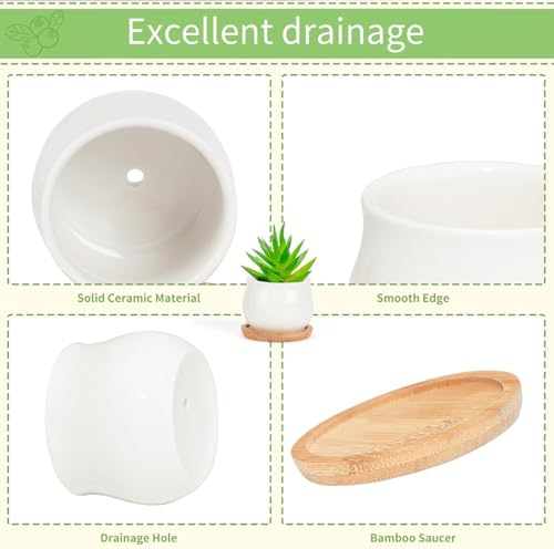 SHECIPIN Succulent Plant Pot, White Mini 2.6 inch Ceramic Flower Planter Pot with Bamboo Tray, Pack of 8 - Plants Not Included - color: White