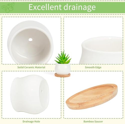 SHECIPIN Succulent Plant Pot, White Mini 2.6 inch Ceramic Flower Planter Pot with Bamboo Tray, Pack of 8 - Plants Not Included - color: White