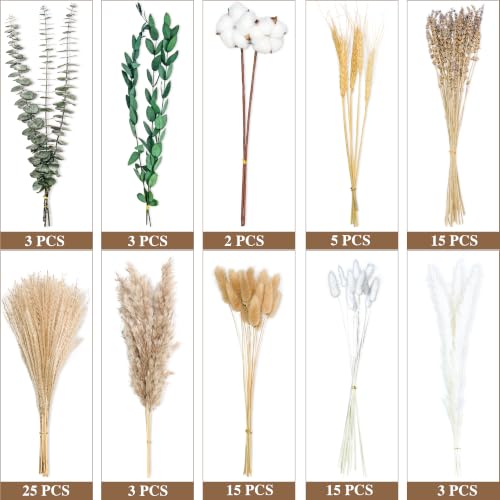 Green Dried Flower Bouquet, 10 Varieties Pampas Grass with Eucalyptus, Lavender, Cotton, Wheat & Bunny Tails, Natural Dried Flowers for Vase, Boho Farmhouse Wedding Home Decor - size: Green