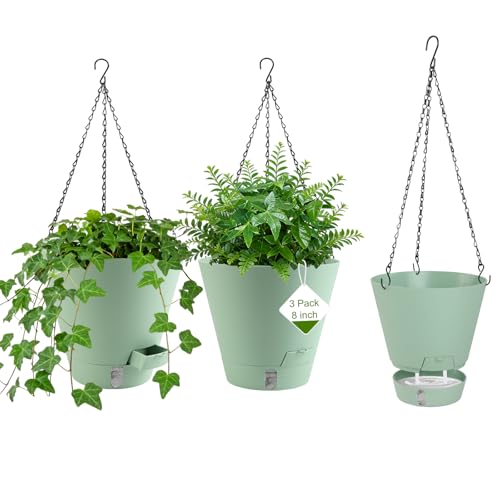 8 Inch Hanging Planters Indoor Outdoor, 3 Pack Plastic Self Watering Plant Pots with Drainage Holes & Saucers, Hanging Baskets Flower Pots with Chain for Ivy, Spider Plant, Pothos, Ferns - color: Green