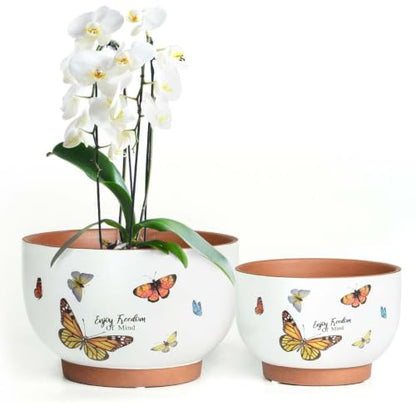 Terracotta Pots, 8+6 Inch Plant Pots, 2 Pcs with Drainage Holes - color: Jardin Butterfly, size: 8+6 Inch