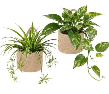 Dahey 2 Pcs Woven Wall Baskets with Plastic Wall Planters for Indoor Plants