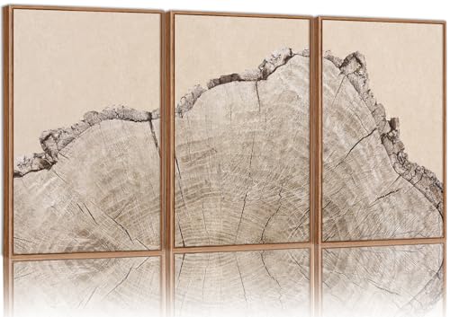 SIGNINART Large Tree Ring Framed Canvas Wall Art Set, Rustic Beige Nature Wooden Wall Decor, Neutral Wood Stump Artwork, Modern Art Prints for Bedroom Living Room Office 16"x24"x3 - color: Large Tree Ring, size: 24"L x 16"W