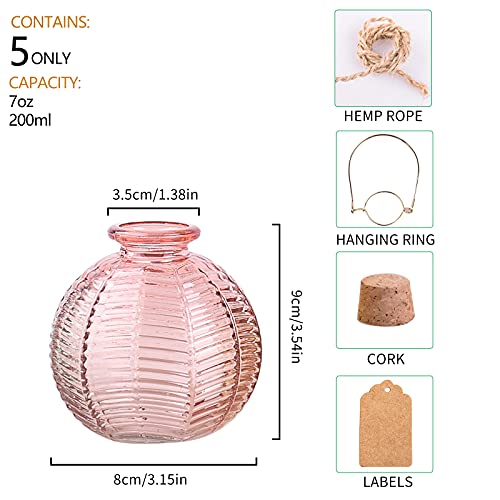 ELEGANTTIME Single Glass Bud Vase Pink Vases for Centerpieces Decor Glass Flower Vase Bottle with Crok Wire Iron Handle Design for Cafes, Office Table, Home and Garden - color: Pink-ball Bottle