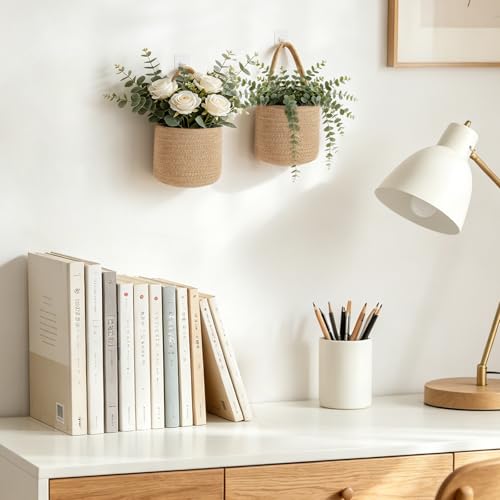 Dahey 2 Pcs Woven Wall Baskets with Plastic Wall Planters for Indoor Plants