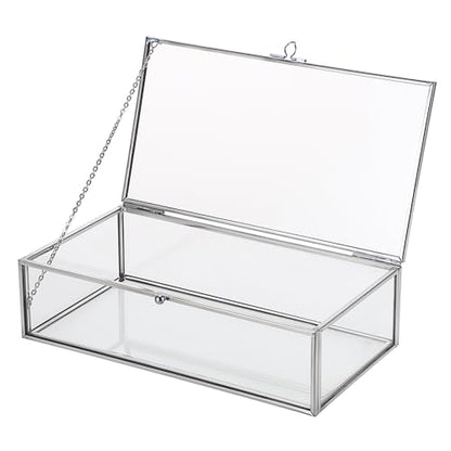 Hipiwe Glass Keepsake Display Box Large Clear Jewelry Lidded Boxes with Lid - color: Silver, size: Large