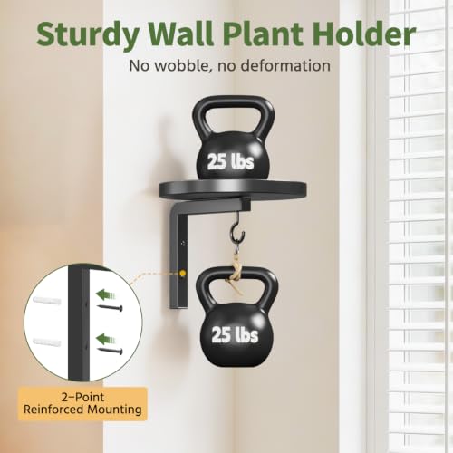 LASZOLA Plant Hanger Holder Wall Indoor with Macrame Hangers, 2 Pcs Black - color: Deep Black, size: 2