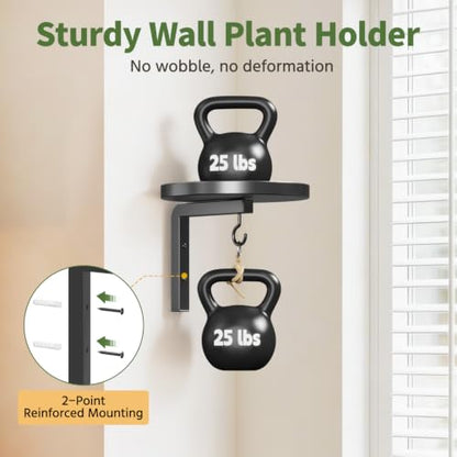 LASZOLA Plant Hanger Holder Wall Indoor with Macrame Hangers, 2 Pcs Black - color: Deep Black, size: 2