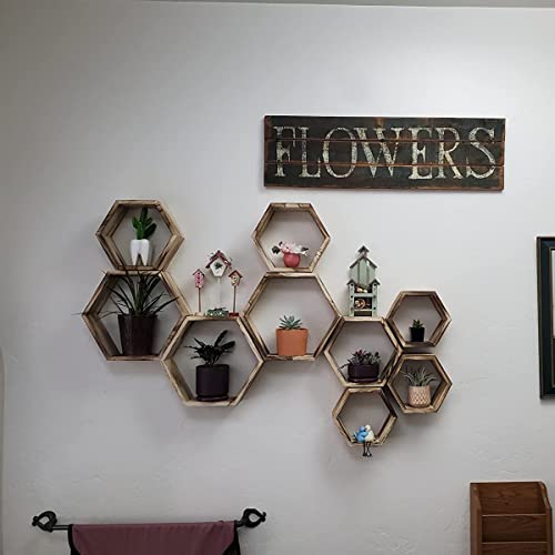WONFUlity Hexagon Floating Shelves - Honeycomb Wall Mounted Wood Farmhouse Storage for Bathroom, Kitchen, Bedroom, Living Room - Driftwood Finish Decor, Light Brown - color: Light Brown, size: 10PC