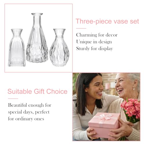 Glass Bud Vases in Bulk, 3pcs Small Glass Vase for Centerpieces - color: Clear, size: 3pcs