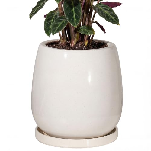 10.3 Inch Ceramic Glaze Plant Pot with Saucer, Flower Pots with Drainage Hole Mesh Net(Hemp-Gray Dot) - color: Hemp Gray Dot