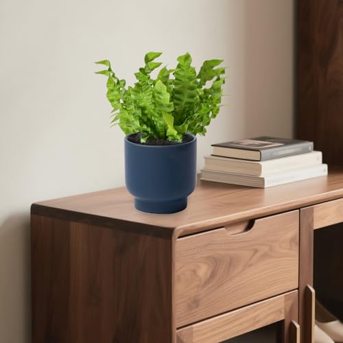 Blue Ceramic Planter - Succulent Flower Small Plant Pots, Pot for Indoor Outdoor Garden Plants with Drainage Holes - Plants Not Included 4.33 X4.33 Inch - color: Blue