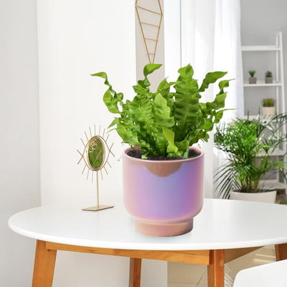 Pink Ceramic Plant Pots - Succulent Flower Small Planter, Pot for Indoor Outdoor Garden Plants with Drainage Holes - Plants Not Included 4.33 X4.33 Inch - color: Pink Gradient