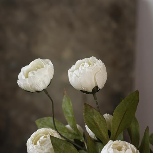 VIERENA 6 Pcs 27" Faux Silk Peony Artificial Flowers Stems for Vase (Cream) - color: Cream