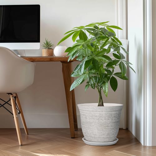 Ceramic Planter, 12 Inch Plant Pot with Drainage and Saucer, Grey - color: Grey-white, size: 12 Inch