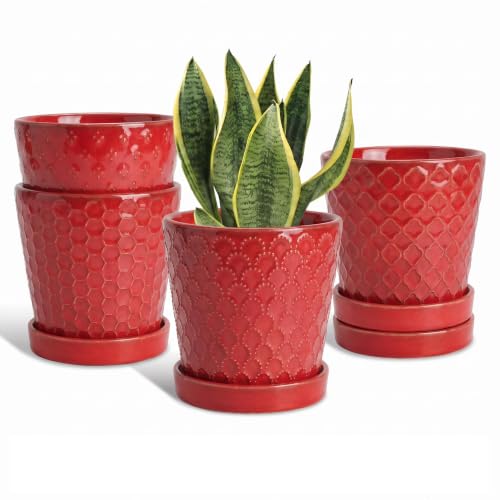 EFISPSS Red Four-piece Set - color: Red