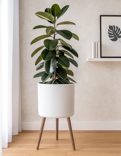 D'vine Dev 16 Inch Planter Pot with Wood Stand, White, 88-O-E-1 - color: Matte White, size: XX-Large