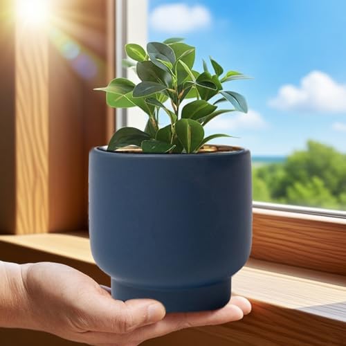 Blue Ceramic Planter - Succulent Flower Small Plant Pots, Pot for Indoor Outdoor Garden Plants with Drainage Holes - Plants Not Included 4.33 X4.33 Inch - color: Blue