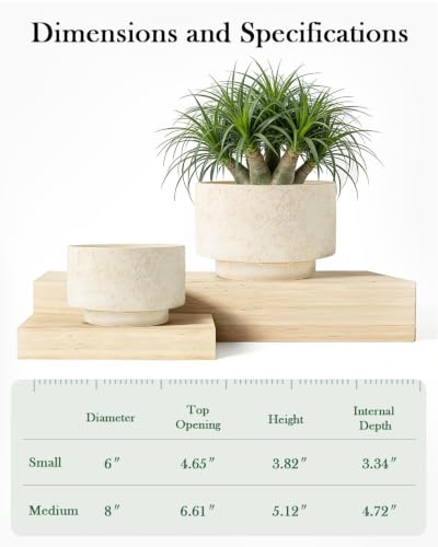 Succulent Pots, 8"+6" Plant Pots, Ceramic Planters for Indoor Plants - color: Beige