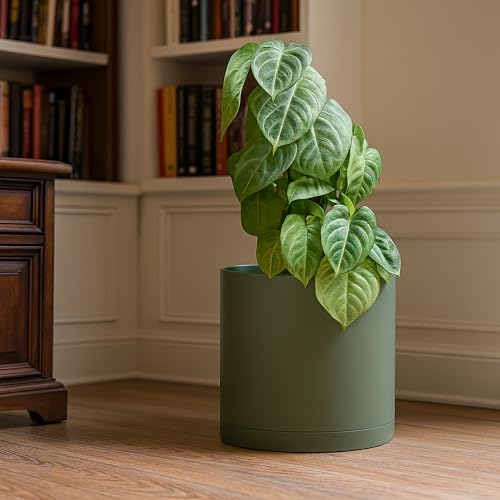 D'vine Dev Plastic Planter Pot with Saucer, 12 in, Olive, 74-X-I-3 - color: Olive, size: 12"